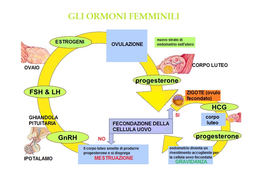 Effetti Collaterali Delle Vitamine – Muscolarmente.it